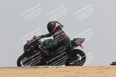 media/Sep-30-2023-SoCal Trackdays (Sat) [[636657bffb]]/Turn 12 Inside Pans (110pm)/